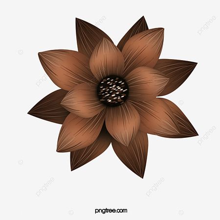 Brown Flower Hd Transparent, Beautiful Brown Flowers, Pretty, Brown, Flowers PNG Image For Free Download