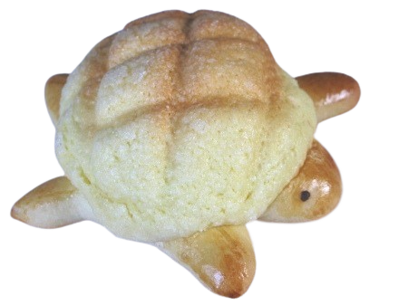 turtle melon pan