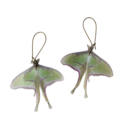 lunar moth earrings