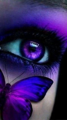 Turquoise Purple Eye