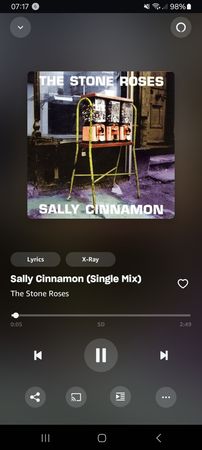 Sally Cinnamon ~ The Stone Roses