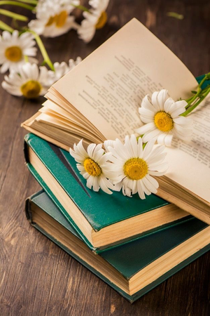 libros y flores