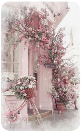 Paris Pink Roses