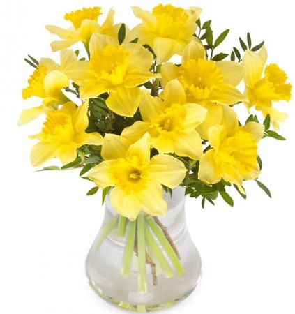 Send Daffodil Bouquets - Send Flowers Worldwide