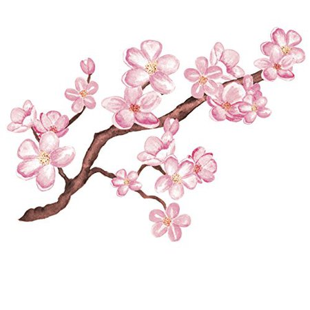 cherry blossom branch - Google Search