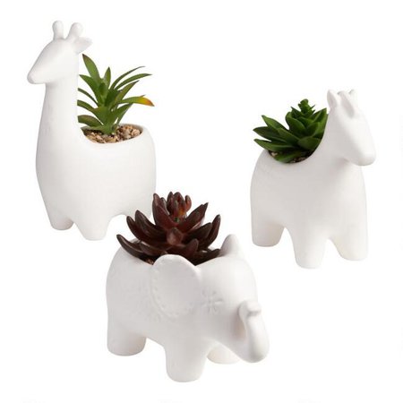 Faux Succulents In Ceramic Animal Planters | World Market
