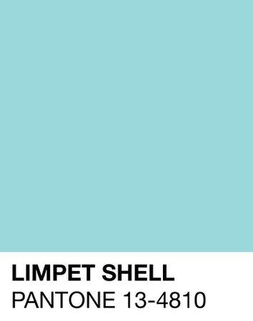 PANTONE Color: Limpet Shell