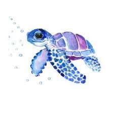 turtle art - Google Search