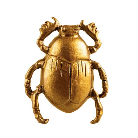 golden scarab beetle