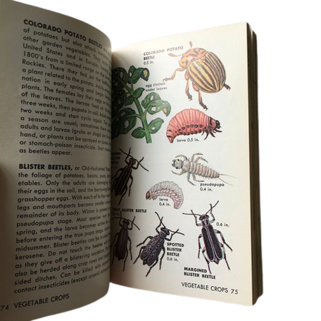 bug book ❦ clip by strangebbeast