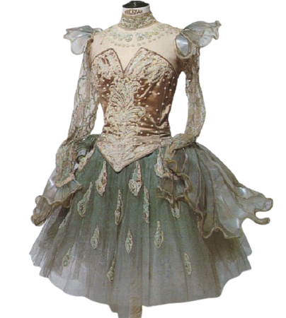 Garden ballet dress