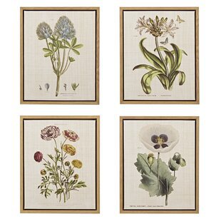 photos of paintings of plants and flowers in a frame - Google Search