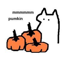 pumpkin cat drawing