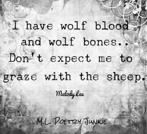 Wolf blood