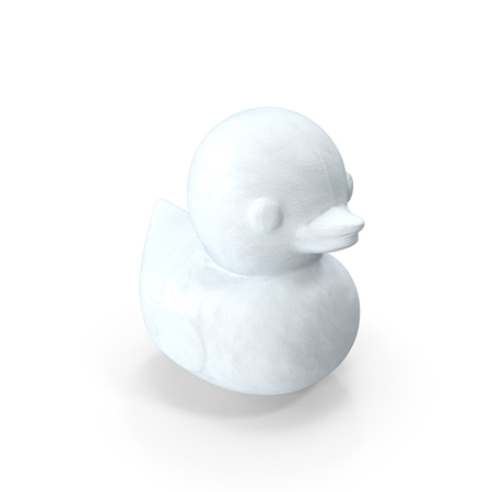 snow duck