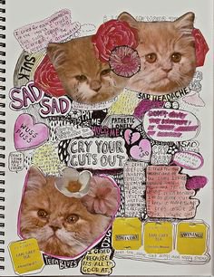 kitten journal
