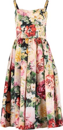Fitted Floral Organza Dress