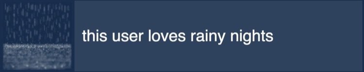 This user loves rainy nights 🌧🌙✨