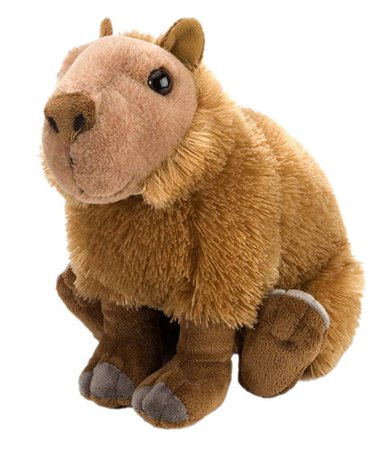 Wild Republic Capybara Plush, Stuffed Animal, Plush Toy, Gifts for Kids, Cuddlekins 12 Inches, Animals & Figures - Amazon Canada