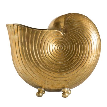 Large Footed Brass Nautilus Shell Planter | Chairish