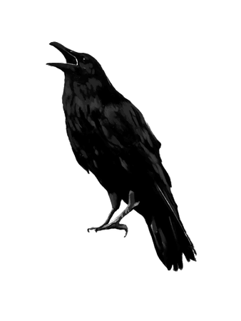 raven no background - Google Search