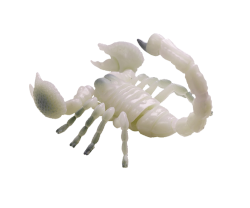 scorpion capsule toy - snailspng