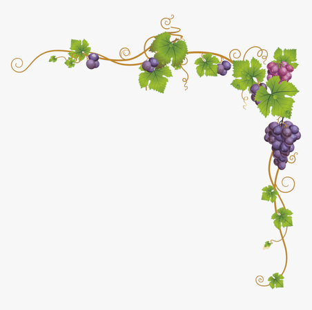 grape vine aesthetic - Google Search