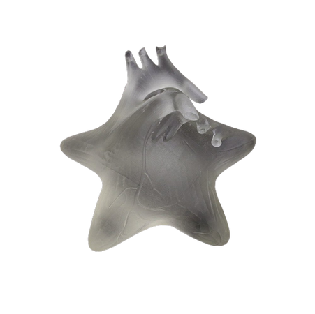 - 3D printed resin star-heart figure by luyao chang