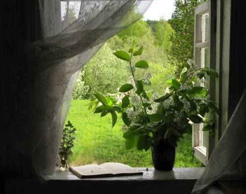 spring window aesthetic cottage image