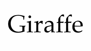 the word giraffe - Google Search
