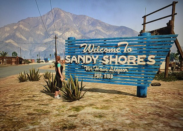 Sandy Shores 1