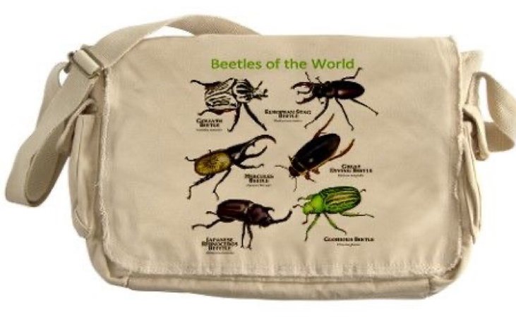 beetle bag