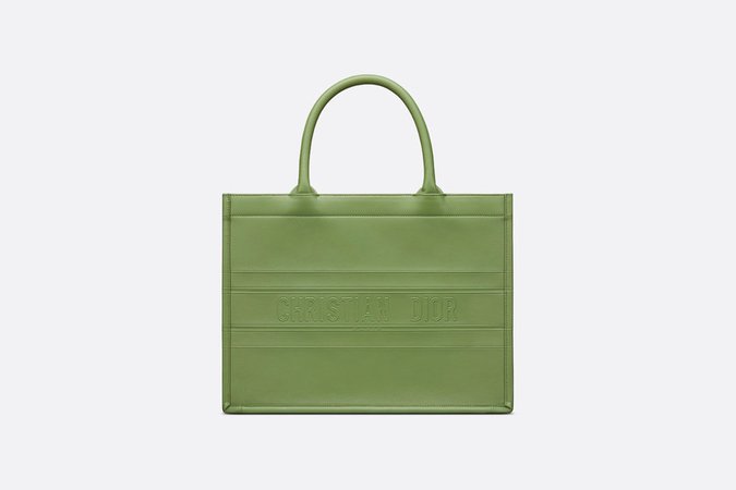 Small Dior Book Tote Willow Green Calfskin - Bags - Women's Fashion | DIOR