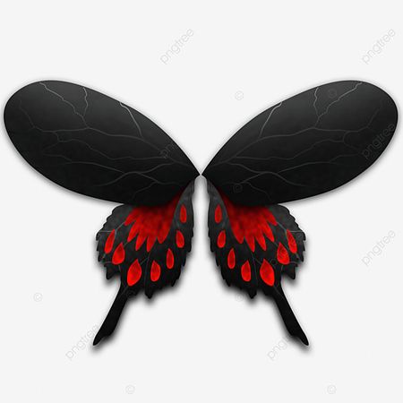Butterfly Wings PNG Picture, Black Butterfly Wings, Butterfly, Glowing Wings, Wings PNG Image For Free Download