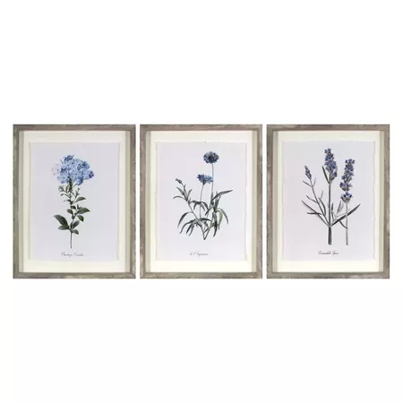 (Set Of 3) 16"x20" Framed Vintage Botanicals Decorative Wall Art - Threshold™ : Target