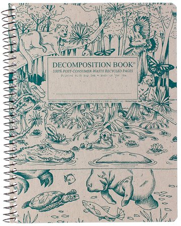Everglades - Spiral Bound, College Ruled (Lined), 9.75 × 7.5 Notebook