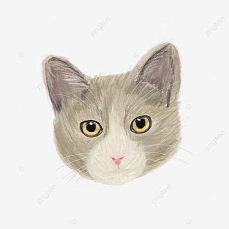 Bright Eyes PNG Picture, Hand Painted Realistic Cat S Face Close Up Bright Eyes, Cat, Pet, Animal PNG Image For Free Download