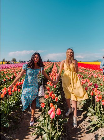 field of tulips- Pinterest