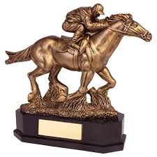 horse riding award - Google Search
