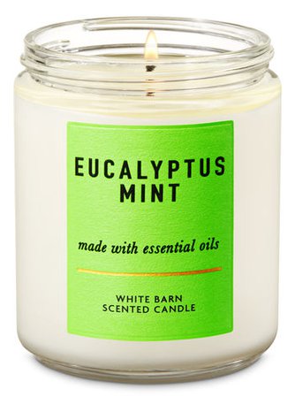 Eucalyptus Mint Single Wick Candle | Bath & Body Works