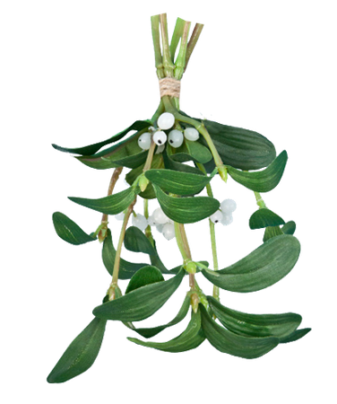 mistletoe symbol of loki - Google Search