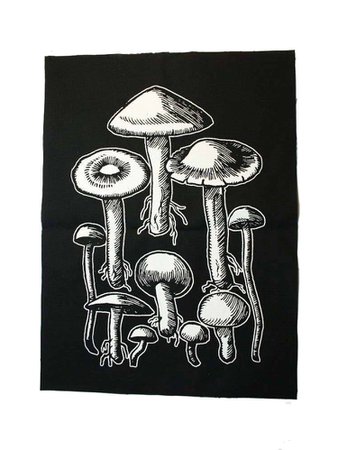 mushrooms patch