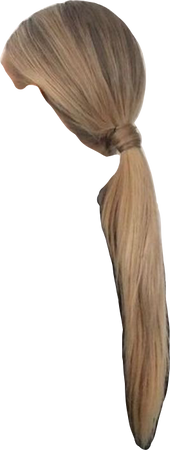 long blonde ponytail