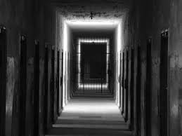 dark room full of cells - Google Search