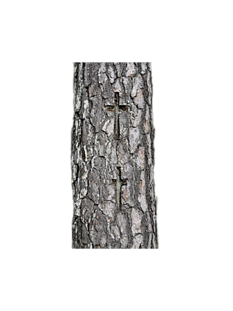 crosses trees outdoors nature png background