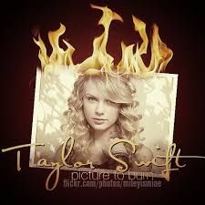 picture to burn taylor swift