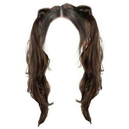 brown hair double ponytail