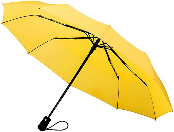Crown Coast Windproof Travel Umbrella