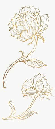 Gold Embroidery PNG