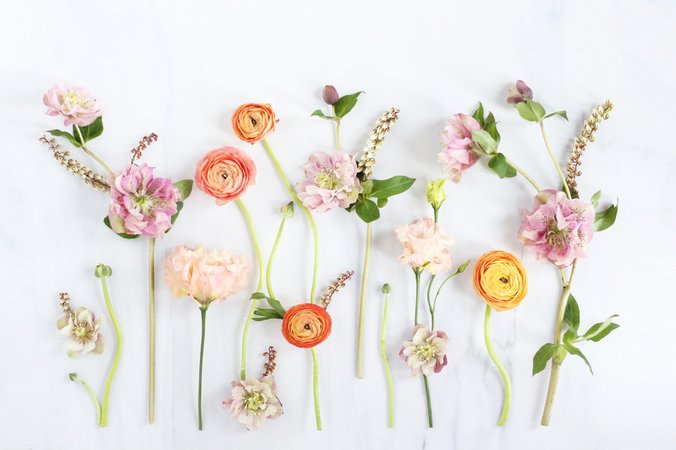 spring florals aesthetic - Google Search